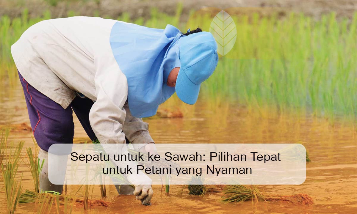 Sepatu untuk ke Sawah: Pilihan Tepat untuk Petani yang Nyaman sepatu untuk ke sawah